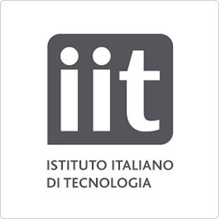 Istituto Italiano di Tecnologia